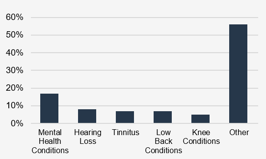 In 2024-2025, the top conditions seen at the Board were: Mental health conditions: 17% Hearing loss: 8% Tinnitus: 7% Low back conditions: 7% Knee conditions: 5% Other: 56%